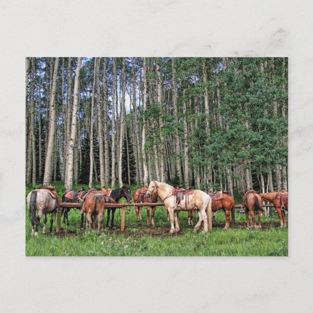 Postal Listo para viajar (Anverso)