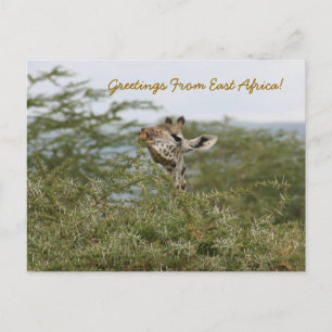 Postal ¡Listo! -Postal