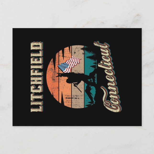 Postal Litchfield Connecticut (Anverso)