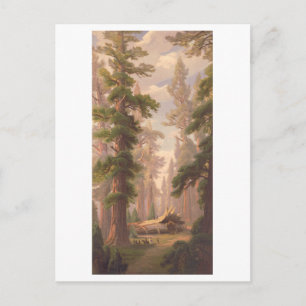 Postal Litografía de cosecha de calaveras