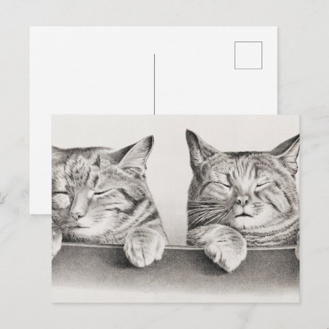 Postal Litografía de Gatos Durmientes Vintage, 1874 (Anverso / Reverso)