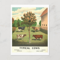 Litografía de la vida rural "Vacas típicas"