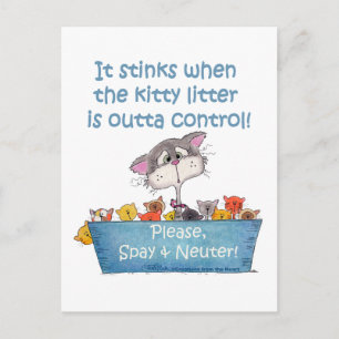 Postal Litro Kitty Stinks
