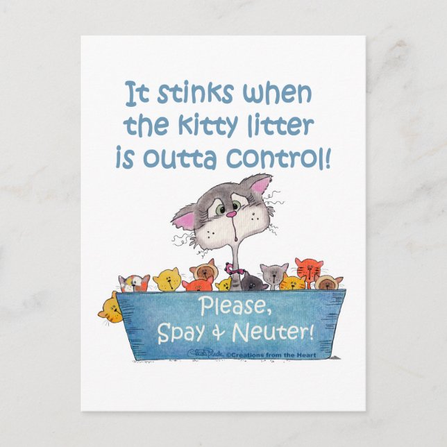 Postal Litro Kitty Stinks (Anverso)