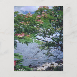 Postal Little Bay Park, Queens, NY