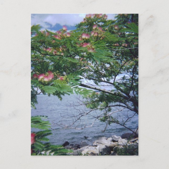 Postal Little Bay Park, Queens, NY (Anverso)