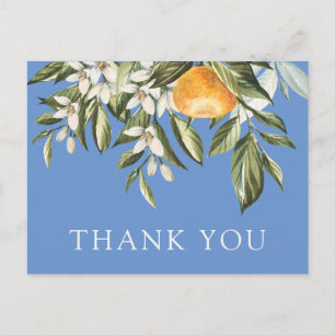 Postal Little Cutie Baby Shower Gracias Postcard