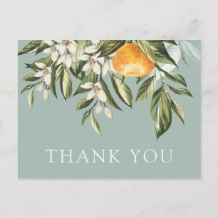 Postal Little Cutie Baby Shower Gracias Postcard