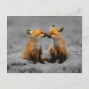 Postal Little Fox Love