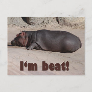 Postal Little Hippo lo dice todo
