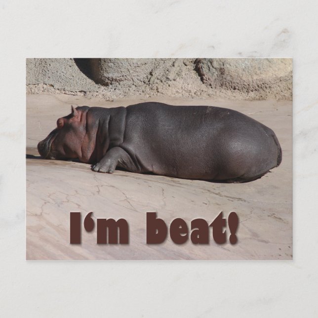 Postal Little Hippo lo dice todo (Anverso)