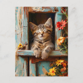 Postal Little Kitten Sleeping in Garden Shed with Bloomin