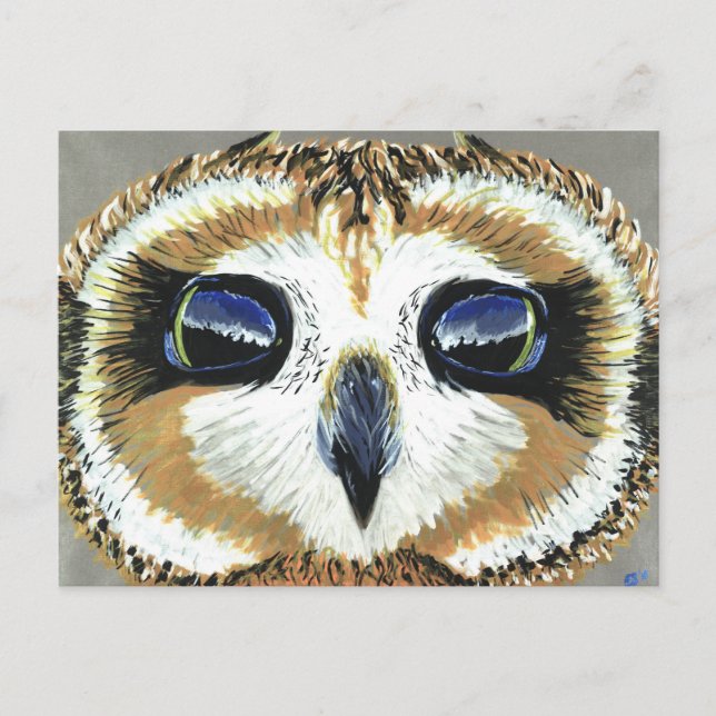 Postal Little Owl Eyes (Anverso)