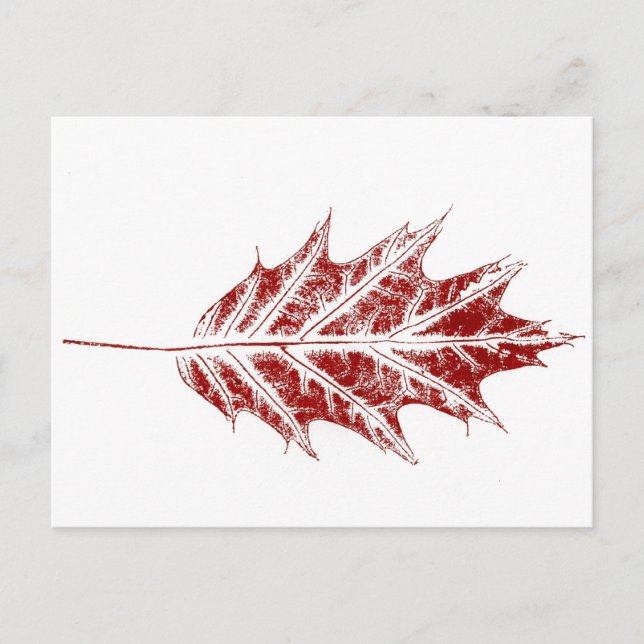 Postal "Little Red Oak" Country Road (Anverso)