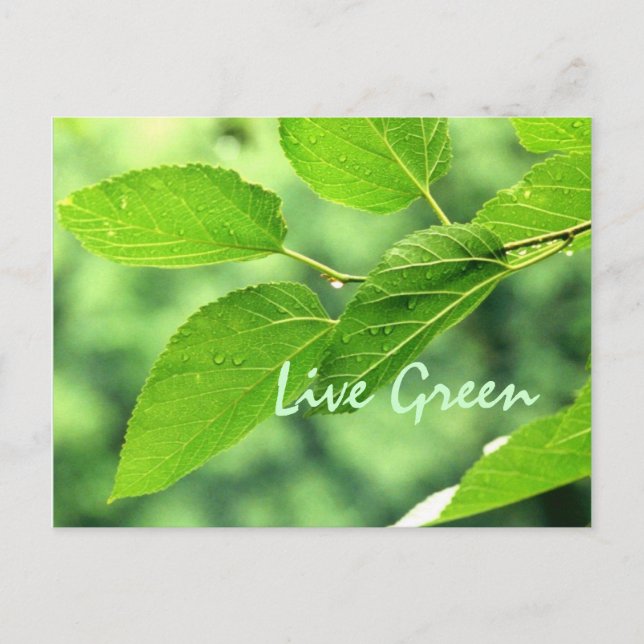 Postal 'Live Green' (Anverso)