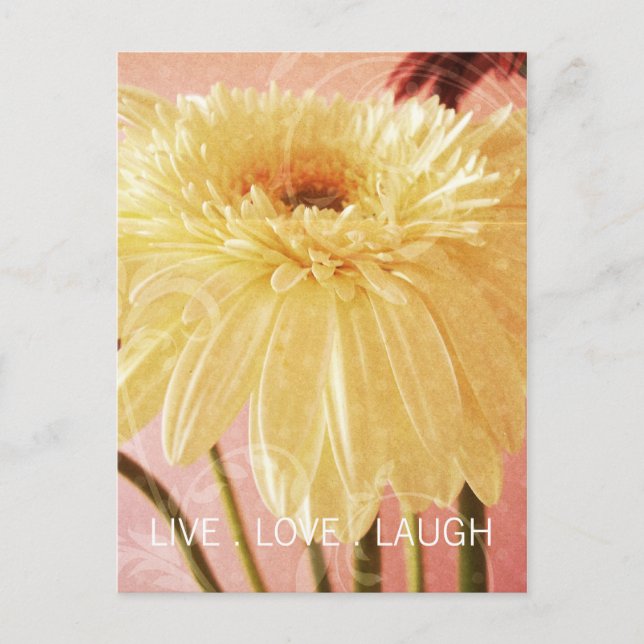 Postal Live Love Laugh Gerbera Flower Light Grunge (Anverso)