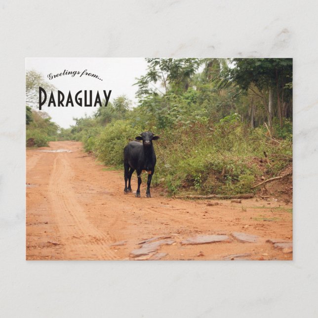 Postal Livestock on a Road in Paraguay (Anverso)