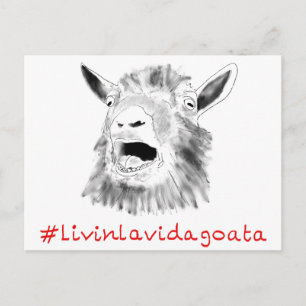 Postal Livin La Vida Goata Graciosa Gritando Dibujo De Ca