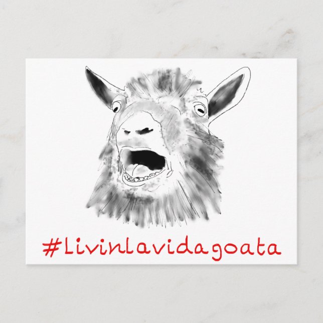 Postal Livin La Vida Goata Graciosa Gritando Dibujo De Ca (Anverso)