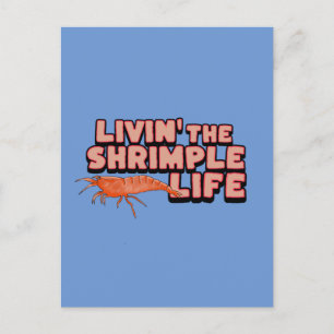 Postal Livin' The Shrimple Life Shrimp Art