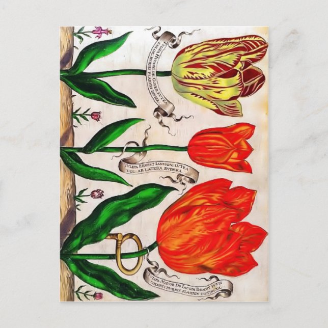 Postal Livres De Fleurs (Anverso)