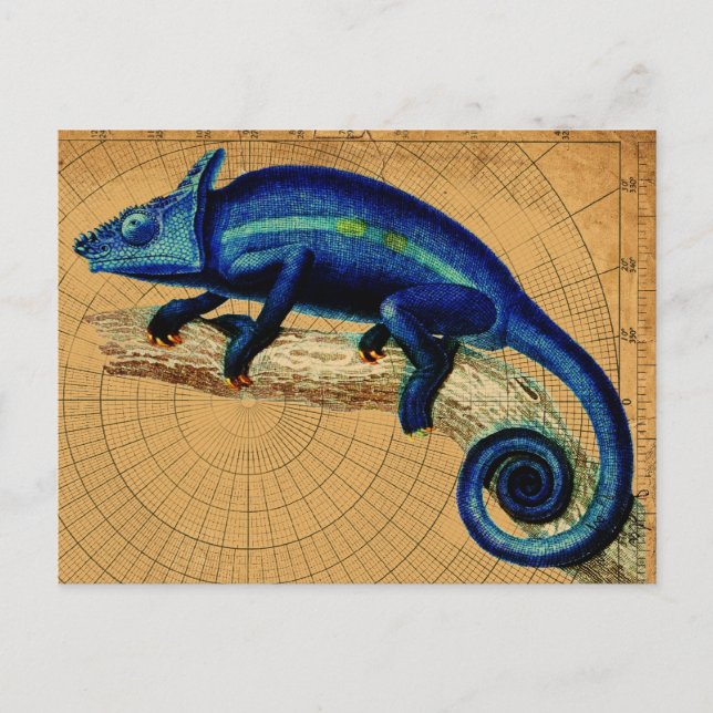 Postal Lizard azul (Anverso)