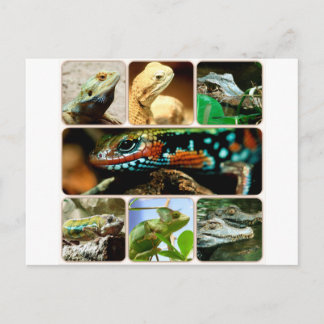 Postal Lizard Collage