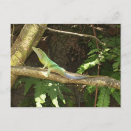 Postal Lizard Verde jamaiquino