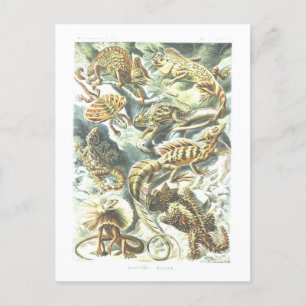 Postal Lizarras de Ilustracion de libros de época