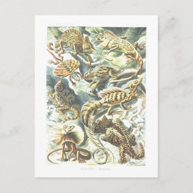 Postal Lizarras de Ilustracion de libros de época (Anverso)