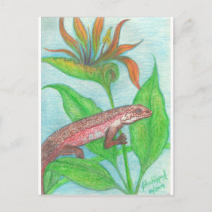 Postal Lizzzard