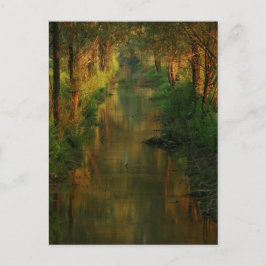 Postal Ljubljana Moors