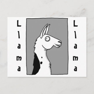 Postal Llama