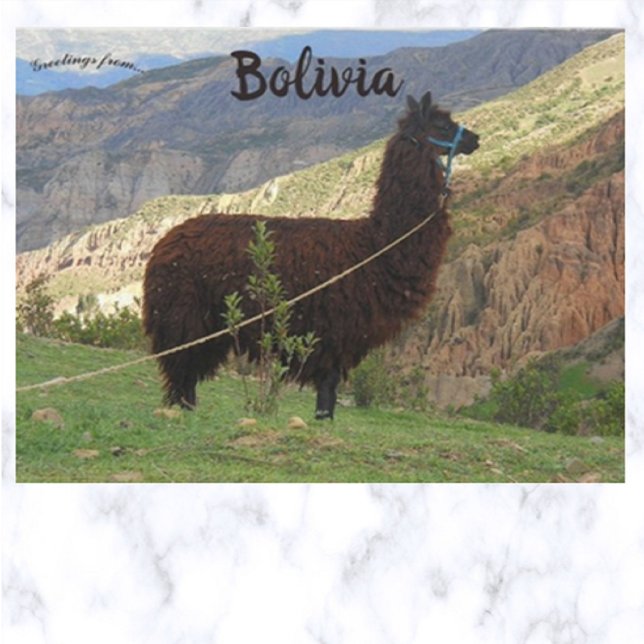 Postal Llama al valle de las almas Bolivia (Subido por el creador)