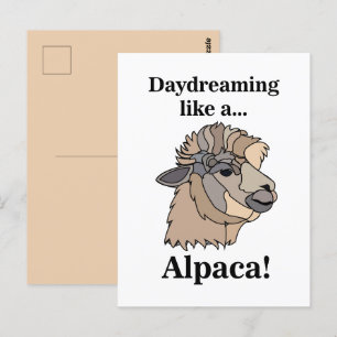 Postal Llama Alpaca Animal Divertido