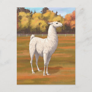 Postal Llama blanca en la pastelería de otoño