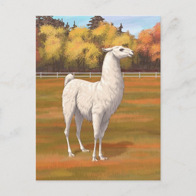 Postal Llama blanca en la pastelería de otoño (Anverso)