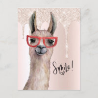 Llama Bonita Rosa Brillante Pensando En Ti