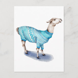 Postal Llama de la acuarela en suéter azul
