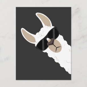 Postal Llama divertida con gafas de sol alpaca fresca