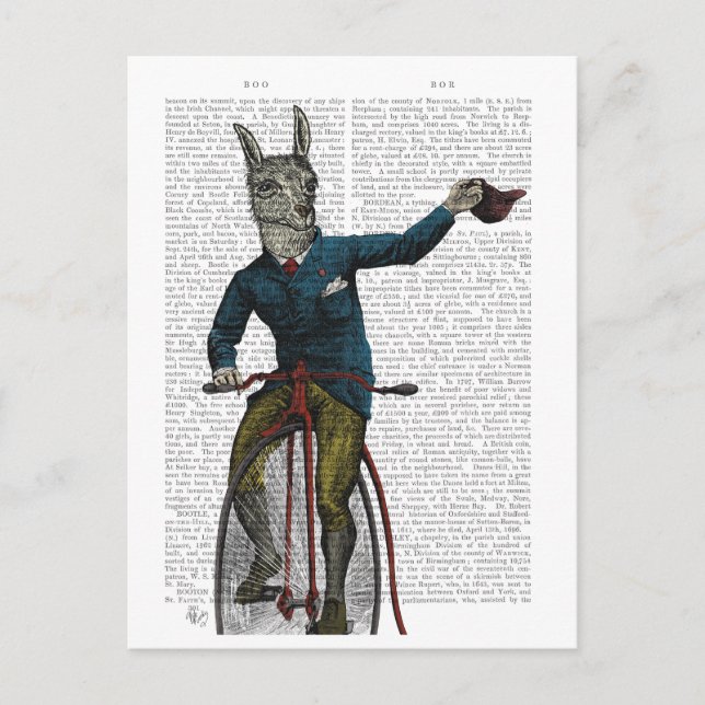 Postal Llama en bicicleta (Anverso)