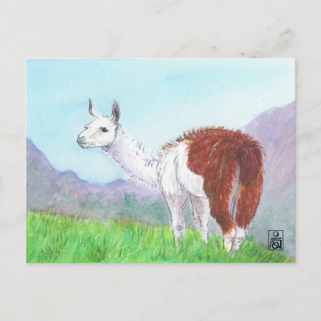 Postal Llama en los Andes (Anverso)