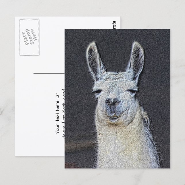 Postal Llama Face Animal Art Personalized (Anverso / Reverso)