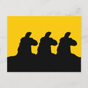 Postal Llama: Llama de 3 sedas en negro