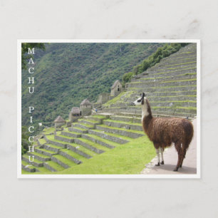 Postal llama machu picchu