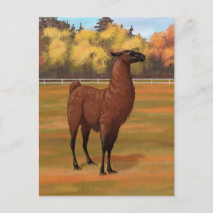 Postal Llama marrón en pastor de granja otoñal