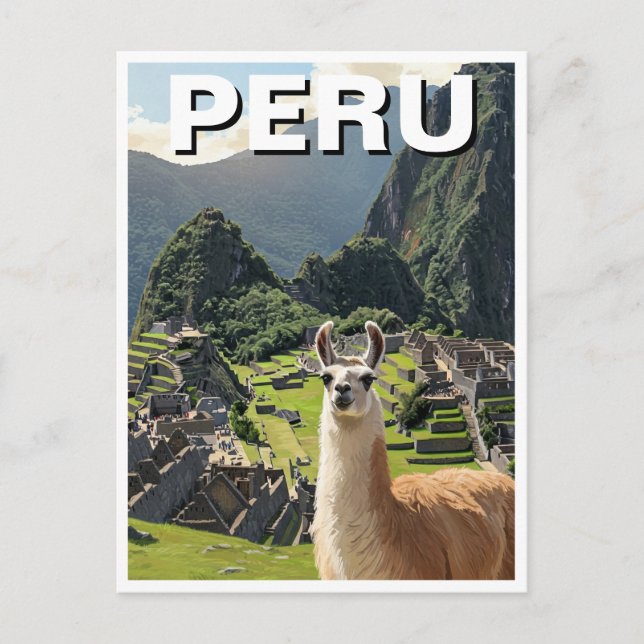 Postal Llama peruana (Anverso)