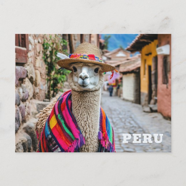Postal Llama peruana (Anverso)