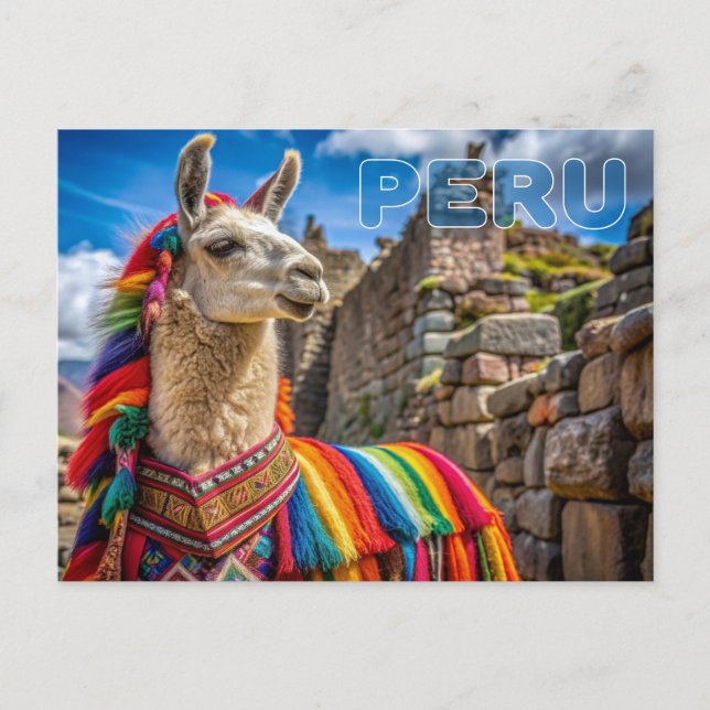 Postal Llama peruana (Anverso)