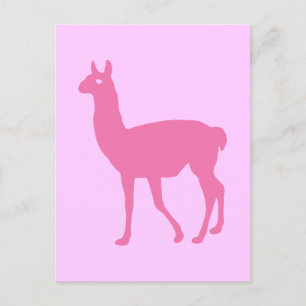 Postal Llama rosa